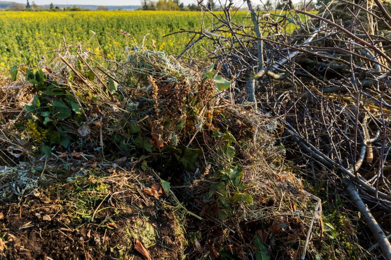 Local Disposal Facilities