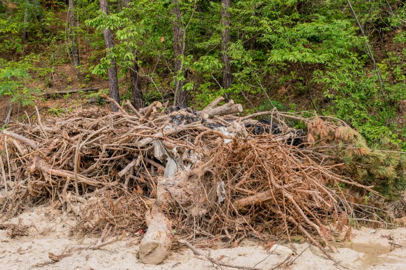 Wood Pile Removal in Honolulu, HI